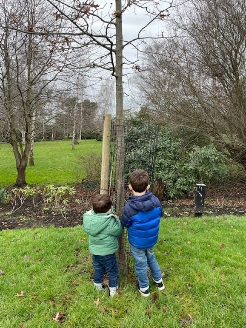 Sarah's 2 sons visiting their brother's memorial tree