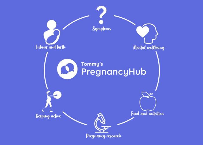Tommy's PregnancyHub circle of support