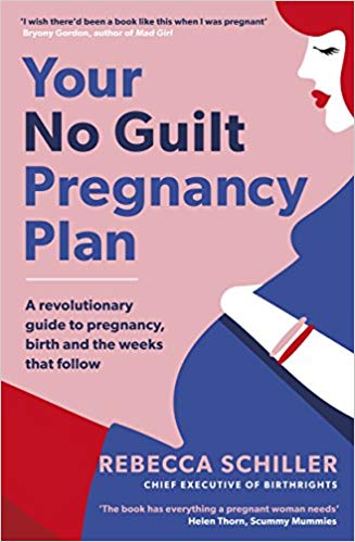 Your No Guilt Pregnancy Guide book cover