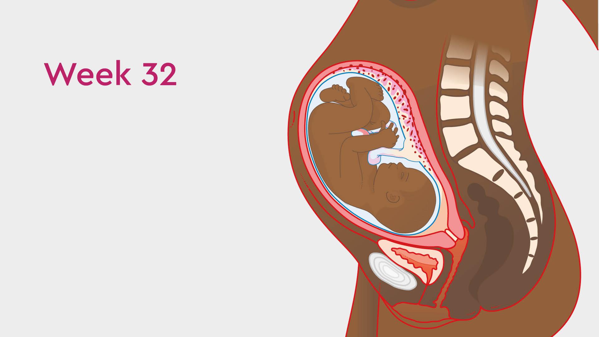 32 Weeks Pregnant: Vaginal Discharge, Pains & Symptoms