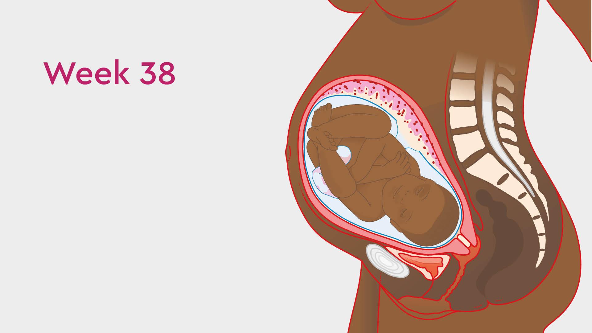 39 Weeks Pregnant: Symptoms, Labor Signs, and More