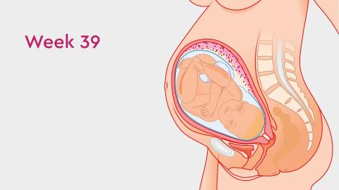 39 Weeks Pregnant: Symptoms, Labor Signs, and More
